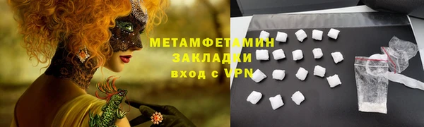 шишки Белокуриха