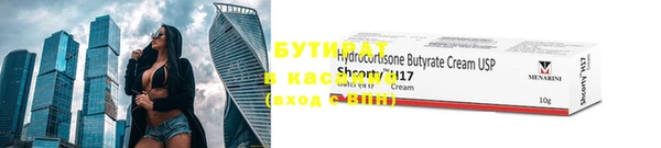 шишки Белокуриха