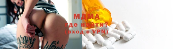 шишки Белокуриха