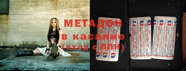 шишки Белокуриха