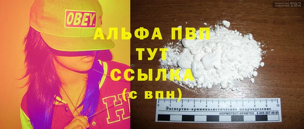шишки Белокуриха