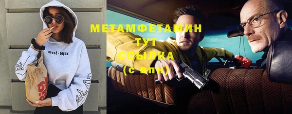 шишки Белокуриха