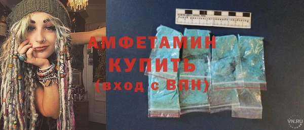 шишки Белокуриха