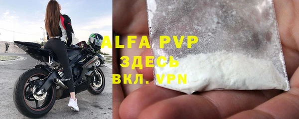 шишки Белокуриха