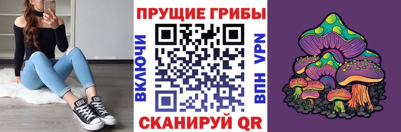 МЕГА сайт  хочу   Гудермес  Псилоцибиновые грибы Cubensis 