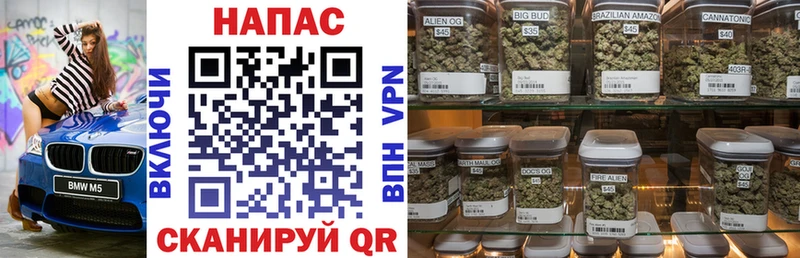 Марихуана SATIVA & INDICA  купить наркоту  Гудермес 